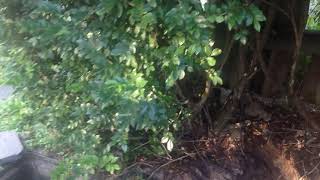 Underground Leak Detection \u0026 Repair in Sunnybank Hills (Brisbane, QLD)