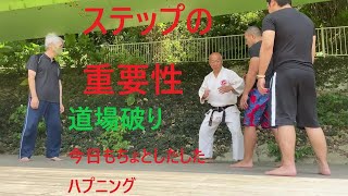 首里少林流円心軸 Syorin Ryu 歩み（Step）、転身、関節技