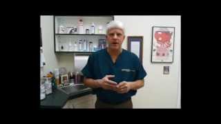 Pet Tips - Arthritis Treatment - Dogs and Cats