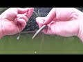 surprising fish catch on a yum dinger bass fishing surprise catch