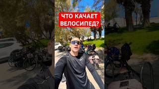 КАКИЕ МЫШЦЫ КАЧАЕТ ВЕЛОСИПЕД?🤔 #siberyak138 #велосипед #навелосипеде #вело #shorts #short