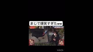 相席食堂神回w#shorts#相席食堂 #千鳥 #おもしろ動画