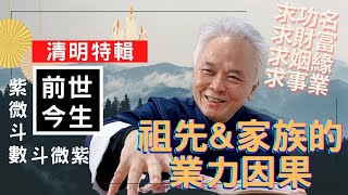 【紫微斗數】清明節特輯！前世今生，祖先與家族的業力因果；求功名、求財富、求桃花姻緣、求事業順利；完整版請至神野會員區收看－顯君他們的心經車隊【CC字幕】