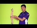 Vieneth archery - Tuttorial pasang busur dengan benar