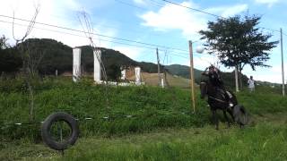 Horseback archery demonstration - 기마궁술 2