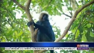 തീർത്ഥാടന പാതയിലെ കാനന ഭംഗി