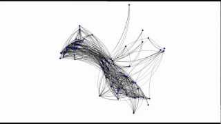 Dynamic Network Visualization