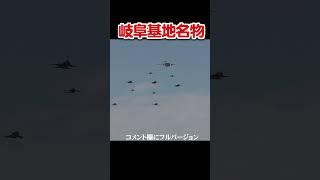 これぞ岐阜基地名物！異機種大編隊