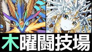 【11/11まで確泥】簡単シヴァドラループ！木曜の闘技場でチィリンドラゴンを乱獲しよう【パズドラ】