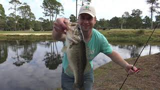 What's in my tackle box? | Lures for Beginners