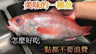 【味道一定會信賴】一定認識過的美味的魚 紅喉魚 介紹在壽司店做法跟通常不使用的部位利用做的我的員工餐