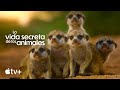 La vida secreta de los animales — Tráiler oficial | Apple TV+