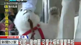 20140405中天新聞　和歌山動物園　可愛北極熊寶寶亮相