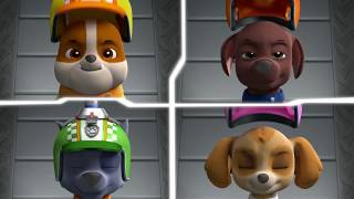 Paw Patrol: Ready Race Rescue | Team | Paramount Pictures UK