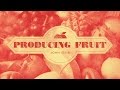 Producing Fruit (John 15:1-8)