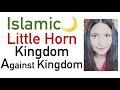 Islamic Antichrist Beast Kingdom AGAINST kingdom | Book of Daniel LITTLE HORN