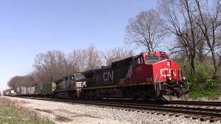 CANADIAN NATIONAL CN GE D9-44CW Southbound Intermodal Container on the Norfolk Southern Line