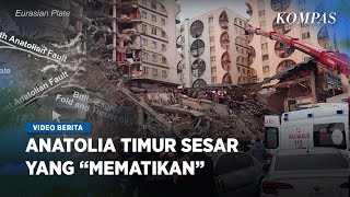 Penyebab Gempa di Turki dan Suriah Banyak Menelan Korban Jiwa