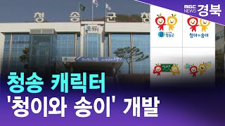 청송 캐릭터 '청이와 송이' 개발 / 안동MBC