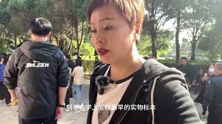 河南殷墟遗址，中国文字起源，第一位女将军，出土文物震惊世界