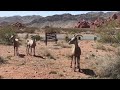 バレーオブファイヤー州立公園 valley of fire state park