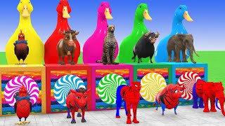 Long Slide Game With Elephant Gorilla Buffalo Hippopotamus Tiger 3d Animal Game Funny 3d Animals