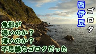 【西伊豆】今度は西伊豆のゴロタに行ってみました【2022年10月中旬】