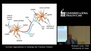 Current Approaches to Helping the Tinnitus Patient UIHC