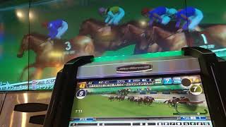 #競馬#メダルゲーム#スタホ2#怪物中位#無謀にも海外G1イギリスダービー挑戦