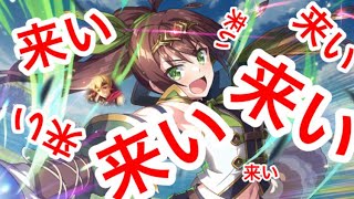 SPセットガチャで★４たくさん出てくるんですねえ！♦伝説の冒険者フェス！ダスト＆リーンガチャ♦【このファン/このすば】