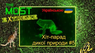 Хіт-парад дикої природи | Українська озвучка🇺🇦 | Епізод 5