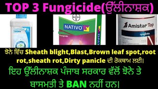 Top 3 ਉੱਲੀਨਾਸ਼ਕ(Fungicide) ਝੋਨਾ, ਬਾਸਮਤੀ ਲਈ। #top #fungicides #paddy #basmati #nativo  #amistartop