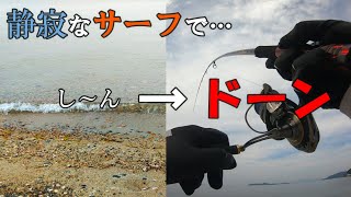 まい釣り93「投げてみないと分からない！」と改めて実感させられました。