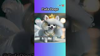 Cute Dogs 97 #cute #Dogs #shorts #short #Dog  #CuteDogs #CuteDog #funny #Funnyvideo