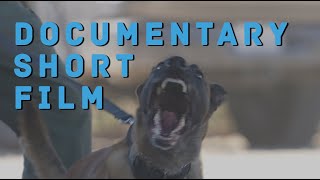 In Canis Confiderus - Documentary Short Film [4K]