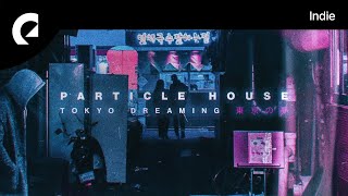 Particle House - A Mistake