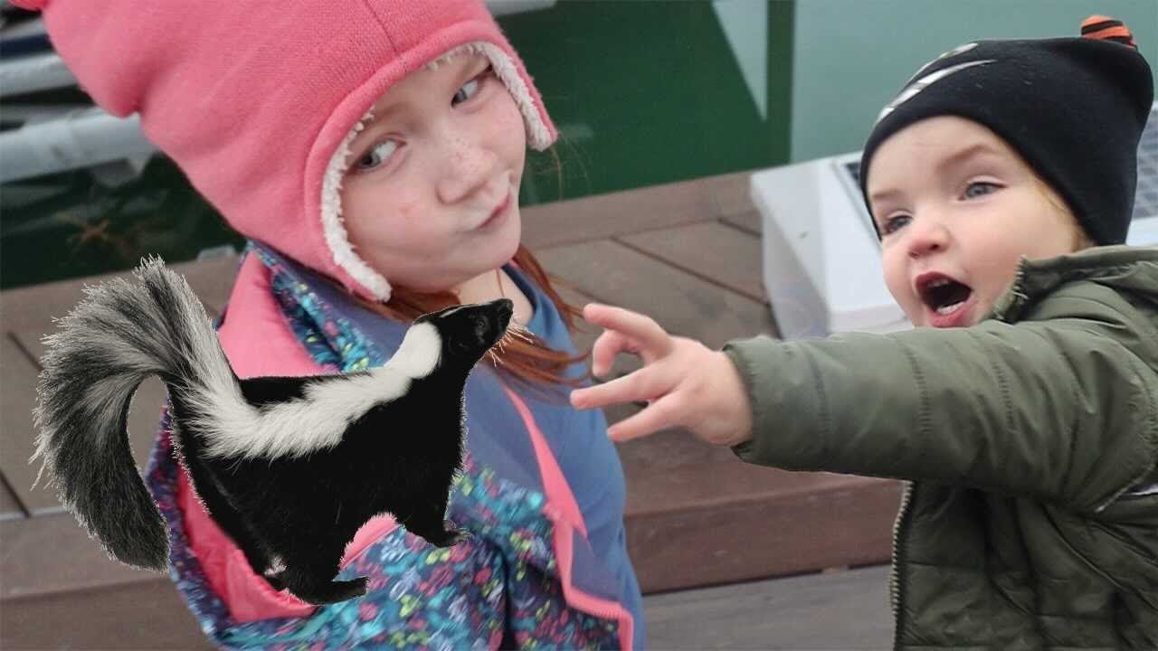 SKUNK in our Neighborhood!! the SEARCH for a lost skunk! making mini pizzas & hot lava night routine