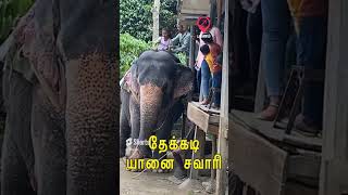 தேக்கடியில் ஒருநாள்... | Thekkady Tourist Places