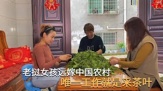 老挝女孩远嫁中国农村，每天靠采茶叶赚钱买菜，居然还说中国赚钱快！