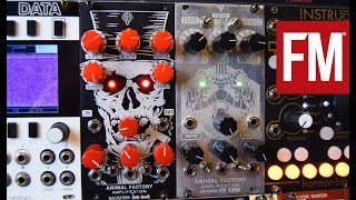 Modular Monthly: Tonal destruction from Animal Factory Amplification