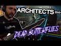 (BLIND PLAY AND REACTION) Architects - Dead Butterflies