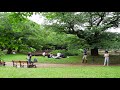 のんびり散歩「新しい日常」　東京は第一ステップ　代々木公園　2020 5 31 39