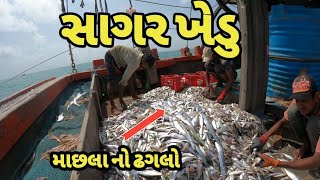 સાગર ખેડુ || માછલા નો ઢગલો || sagar khedu || #સમુદ્રીલુટેરા #viralvideo