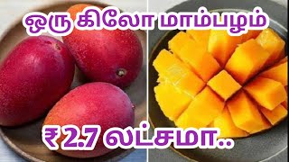 உலகின் விலை உயர்ந்த மாம்பழம் | world's most Expensive mango | மியாசாகி மாம்பழம் | Costly mango