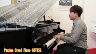 Review Grand Piano  Perzina GBT152