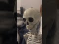 meet skelly