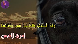 وقد اغتدي والطير في وكناتها - امرئ القيس | اغنية | ادب الرابع اعدادي