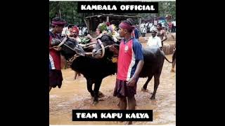 TEAM KAPU KALYA ❤️ KAMBALA OFFICIAL ❤️ PLEASE SUBSCRIBE ❤️