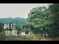 【靚靚个花 Live】曾仲瑋《桐花恁靚》