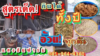 อาหารควาย สูตรเด็ด!กินได้ทั้งปี ประหยัดลดต้นทุน📞 081-964-4360 EP.138